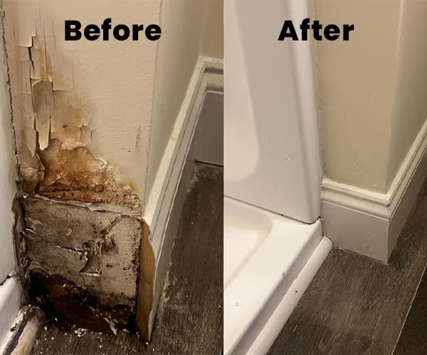Wall removal, replacement, and mold removal